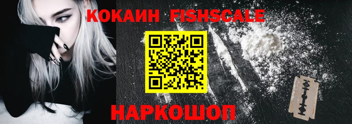 COCAIN Боливия  COCAIN Fish Scale  Вход с VPN  Каменка 