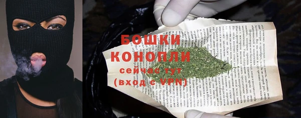 МДПВ Инсар