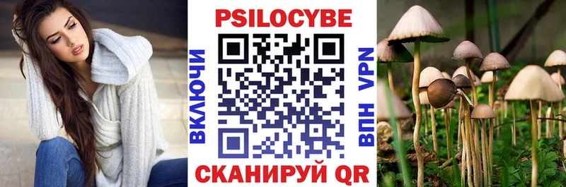 магазин продажи   Каменка  Псилоцибиновые грибы прущие грибы 