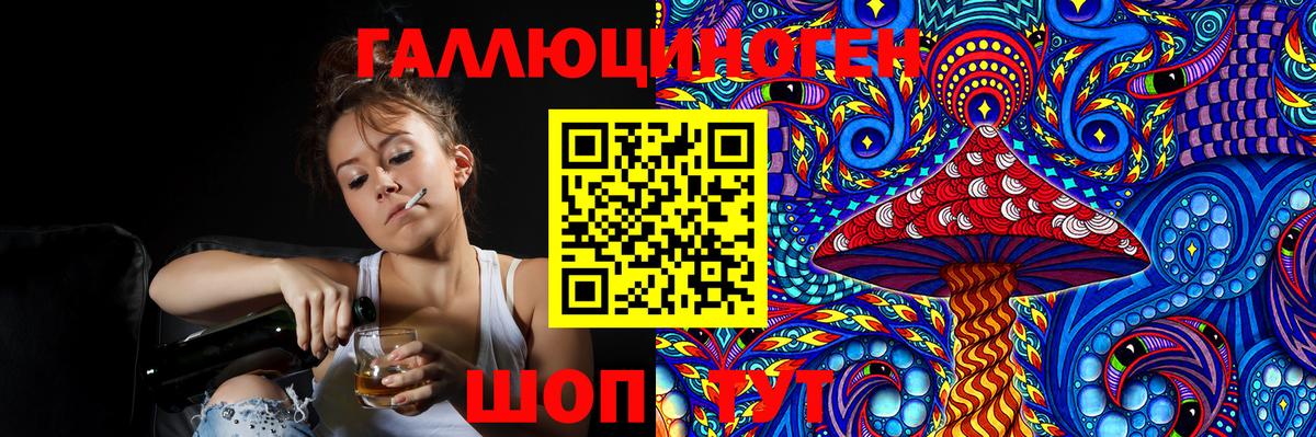 Псилоцибиновые грибы прущие грибы  Вход с VPN  Каменка 